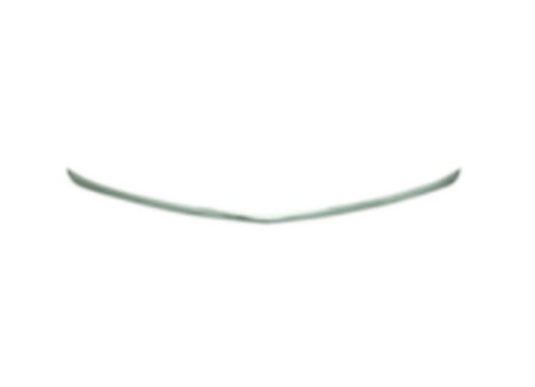 REAR BUMPER MOLDING EXC V