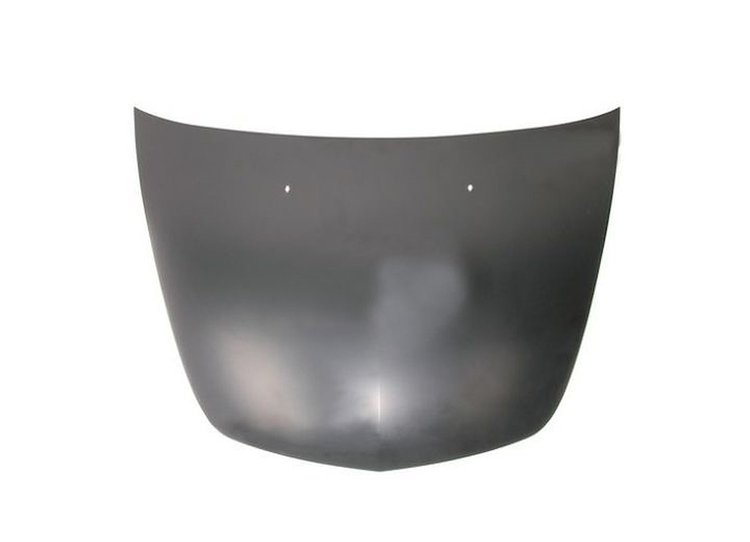 CAPA HOOD PANEL ASY HYBRD