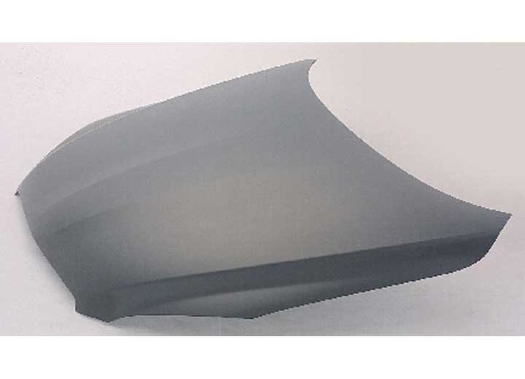 HOOD RAV4 06-10