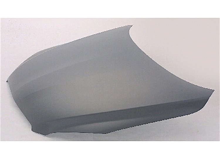 HOOD C RAV4 06-11
