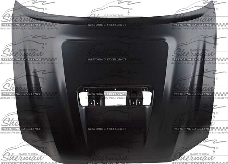 CAPA HOOD PANEL ASY FITS