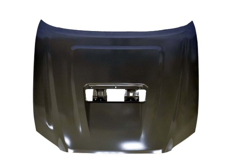 CAPA HOOD PANEL ASY W/SCO
