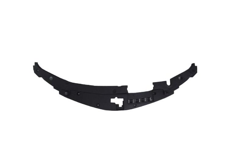 CAPA FRT PANEL MOLDING SE