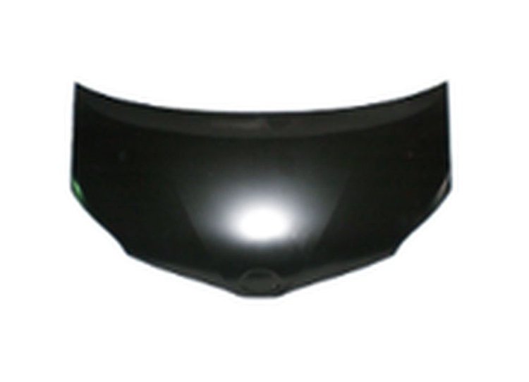 HOOD PANEL ASY TOYOTA SIE