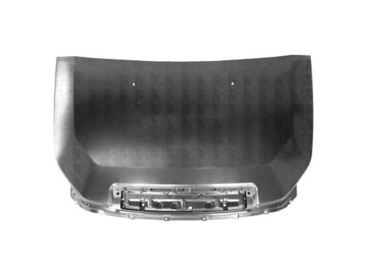 CAPA HOOD PANEL ASY ALL T