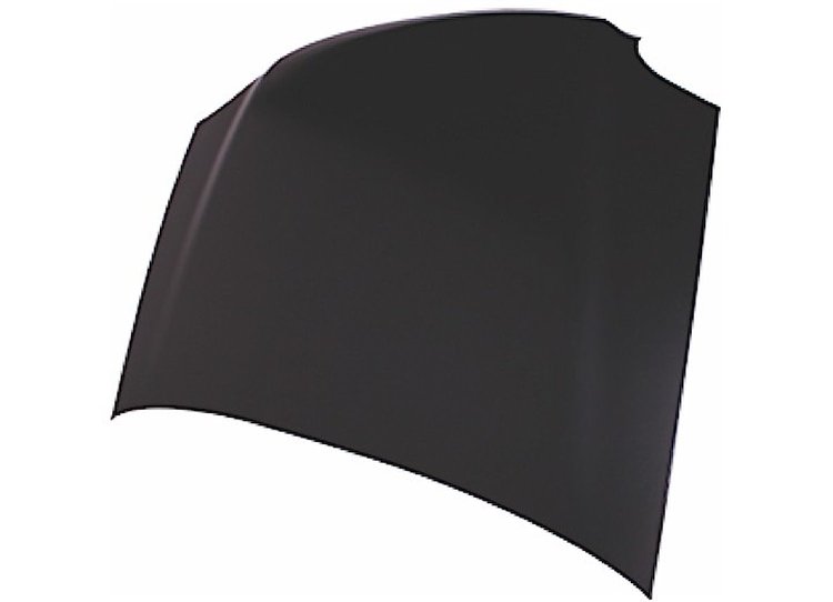 CAPA HOOD PANEL ASY SILVE