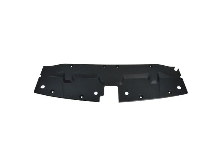 CAPA FRT PANEL MOLDING SI