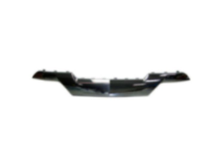 FRONT BUMPER MOLDING SKID