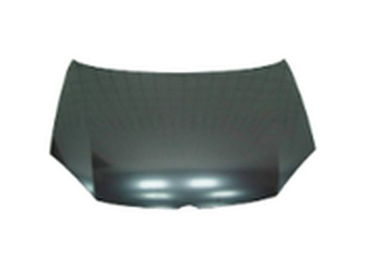 HOOD C RABBIT/GTI 06-09