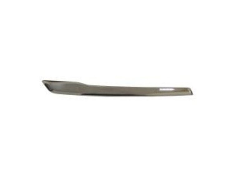 LH FRONT BUMPER MOLDING G