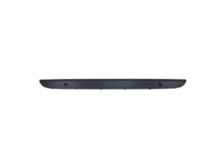 FRONT BUMPER MOLDING W/PA