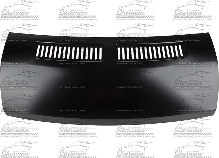 HOOD PANEL ASY RAM PROMAS