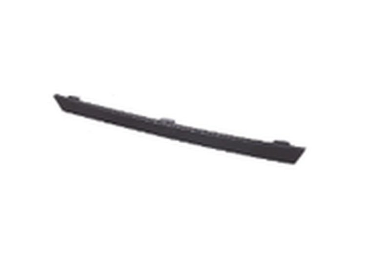 FRONT BUMPER MOLDING CENT