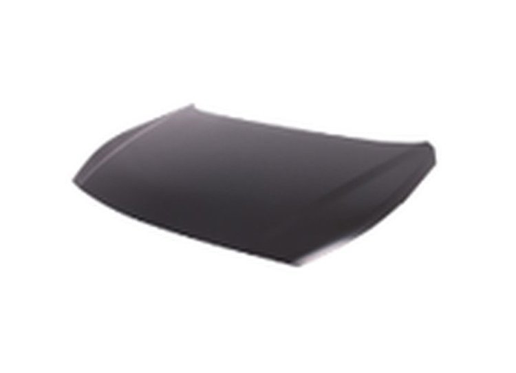 CAPA HOOD PANEL ASY HYUND