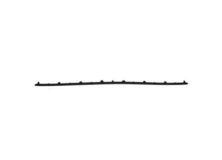 FRONT BUMPER MOLDING LOWE