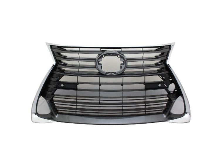 CAPA GRILLE ASY W/PARKING