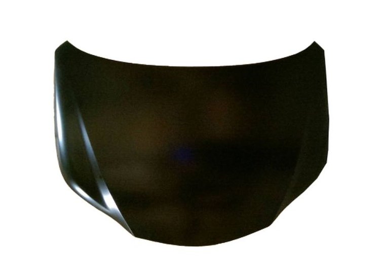 CAPA HOOD PANEL ASY LEXUS