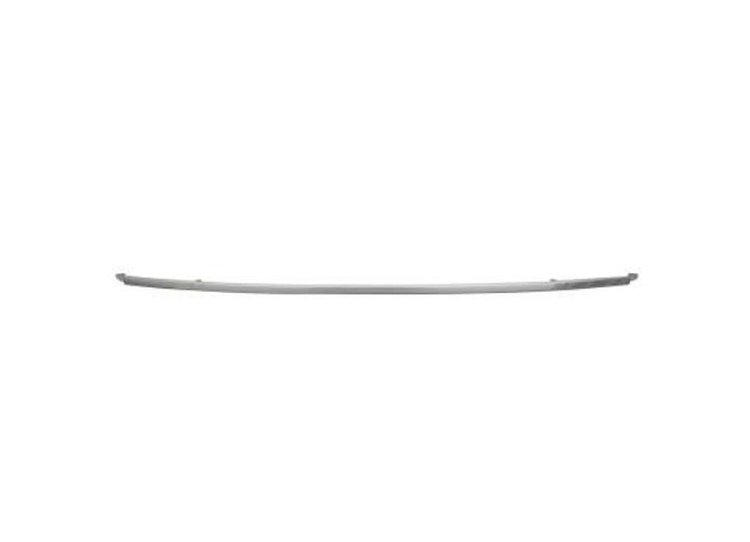 FRONT BUMPER MOLDING CENT