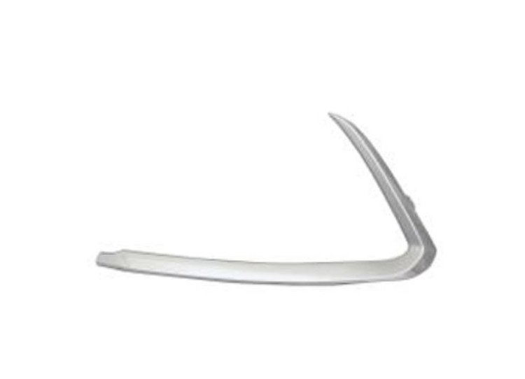LT FRONT BUMPER MOLDING O