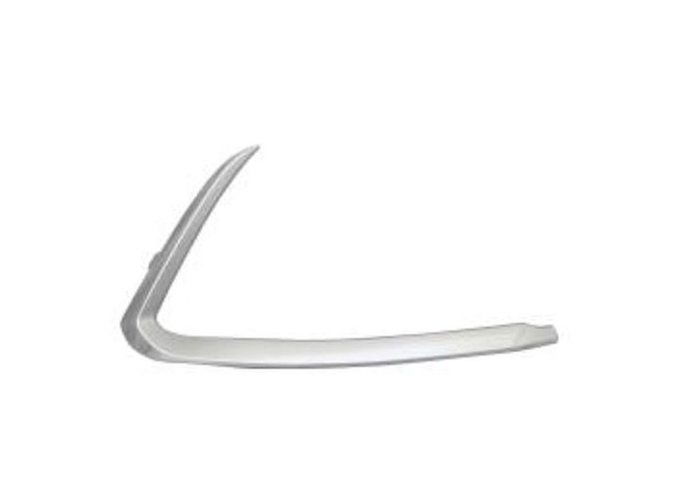 RH FRONT BUMPER MOLDING O