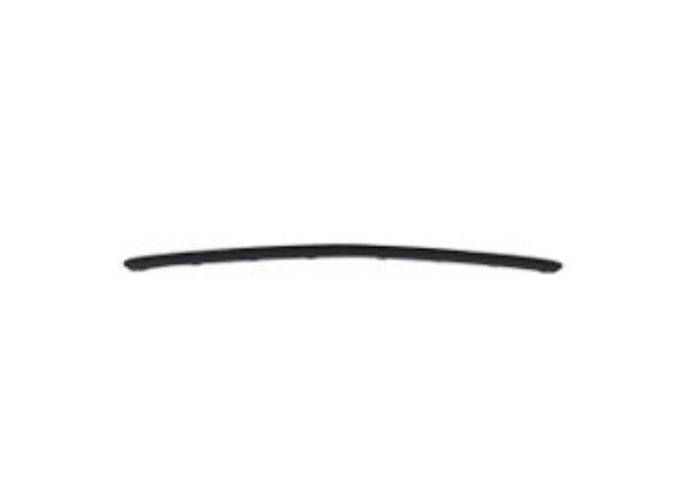 FRONT BUMPER MOLDING V177