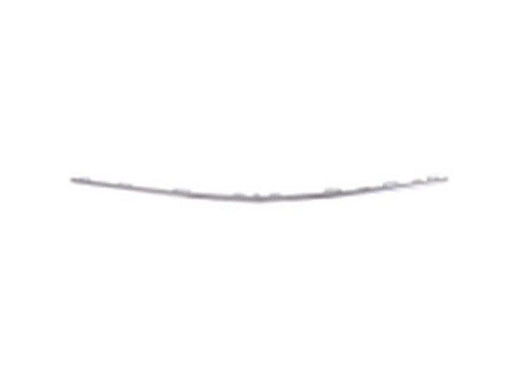 FRONT BUMPER MOLDING C117