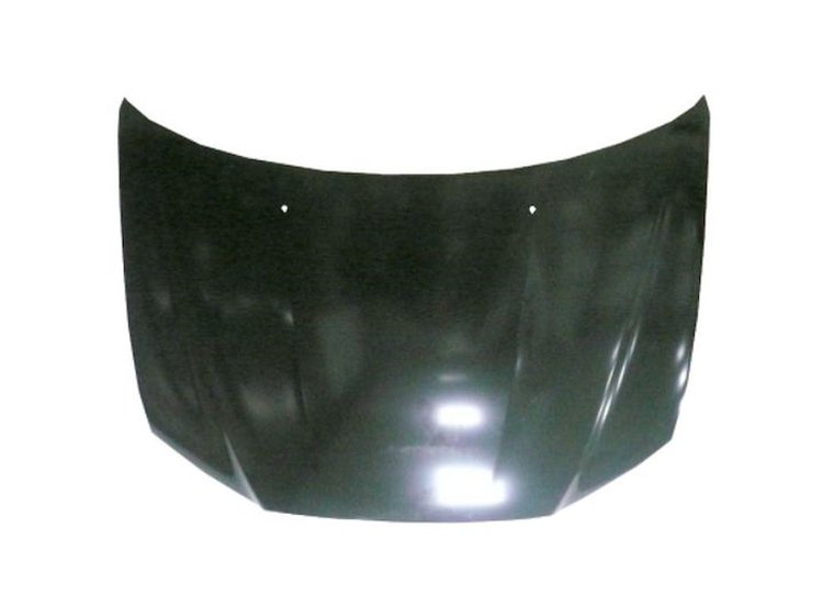 CAPA HOOD PANEL ASY MITSU