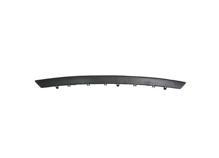 FRONT BUMPER MOLDING CENT