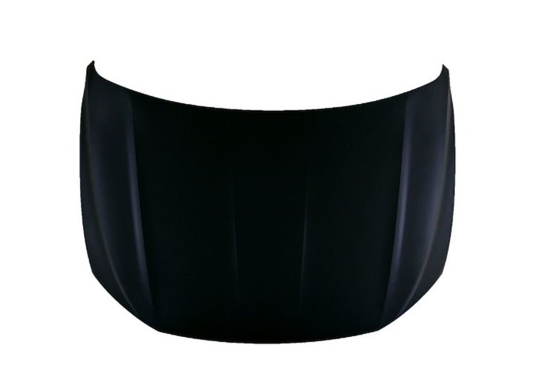 HOOD PANEL ASY VOLKSWAGEN