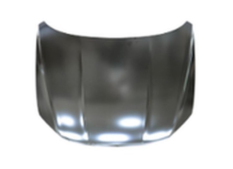 HOOD PANEL ASY 1617 VOLKS