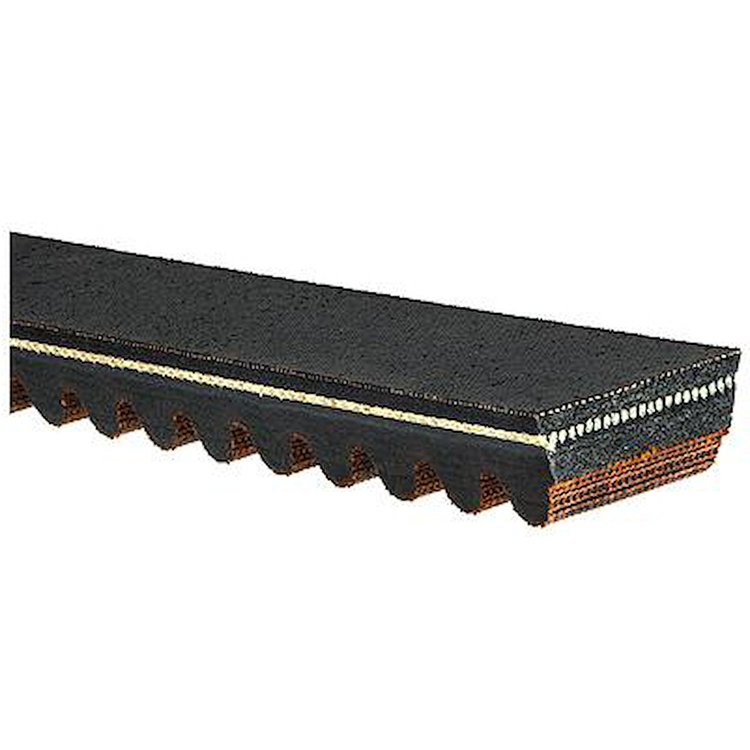 Recreational Belts - G-Force