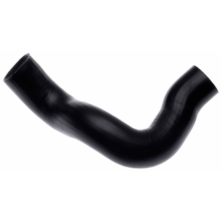Molded Radiator Hose