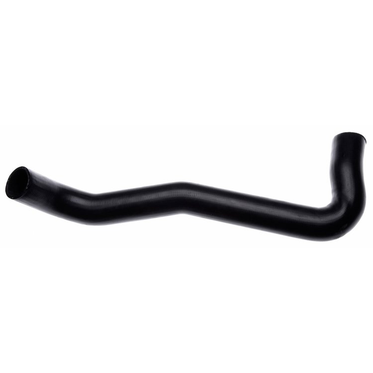 Molded Radiator Hose