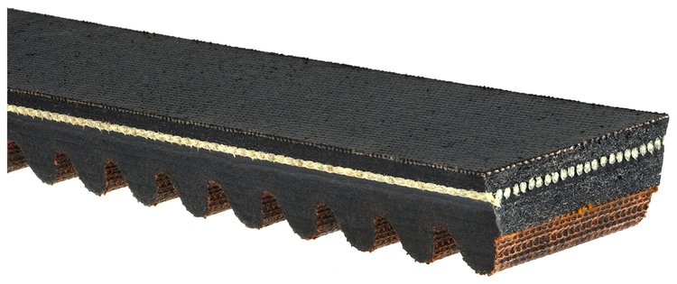 Recreational Belts - G-Force