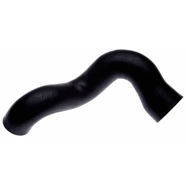 Molded Radiator Hose