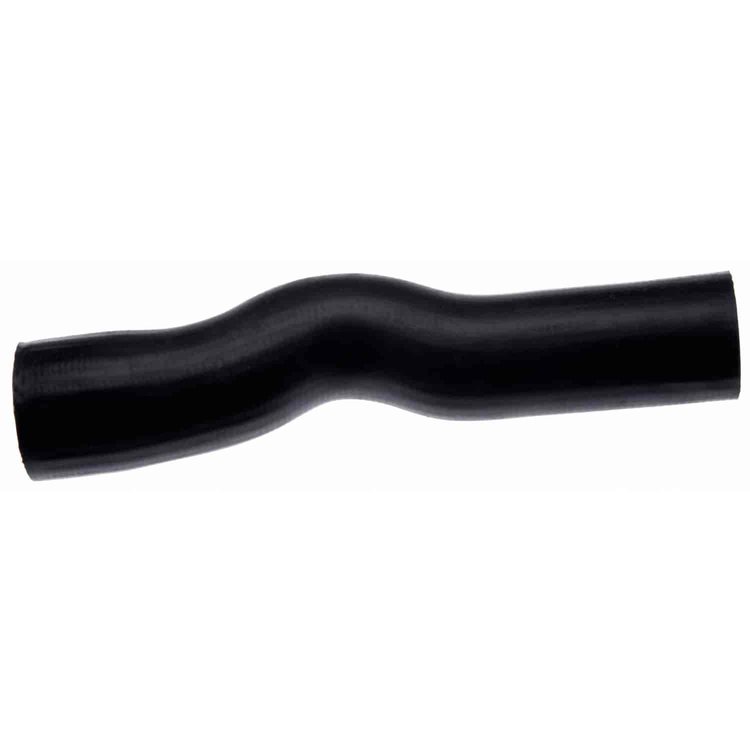 Molded Radiator Hose