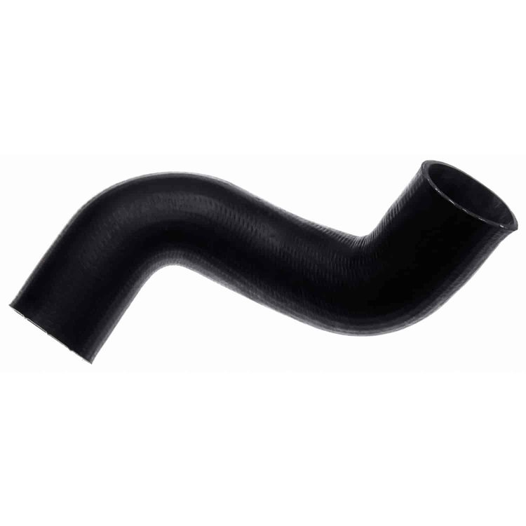 Molded Radiator Hose