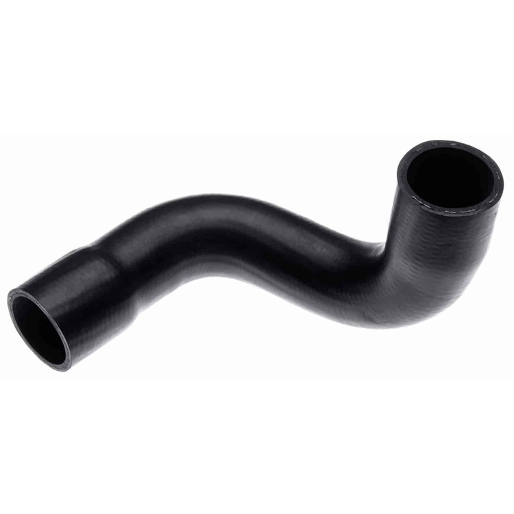 Molded Radiator Hose