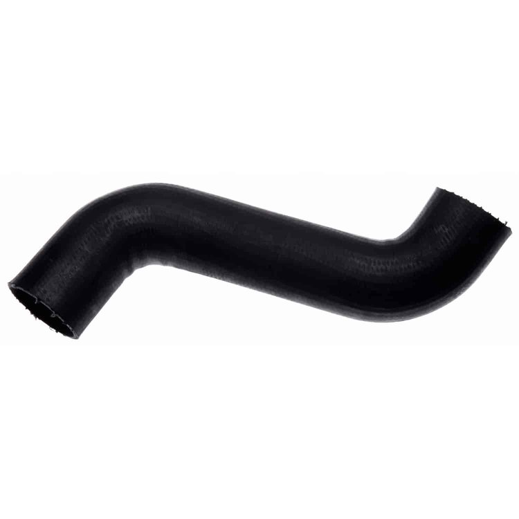 Molded Radiator Hose