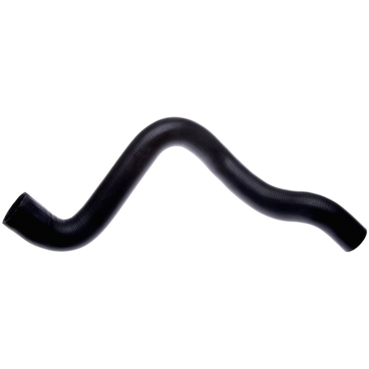 Molded Radiator Hose