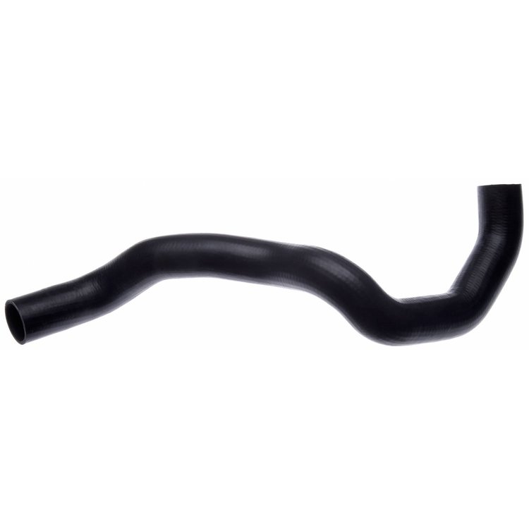 Molded Radiator Hose