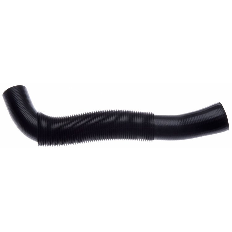 Molded Radiator Hose