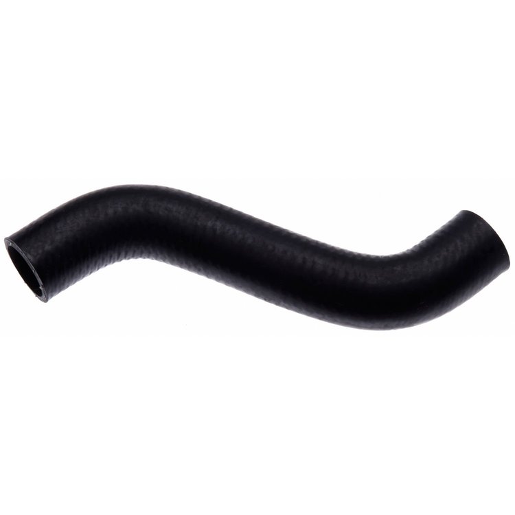 Molded Radiator Hose