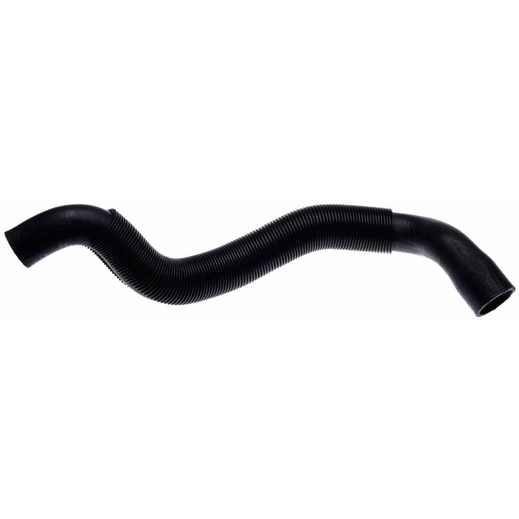 Molded Radiator Hose