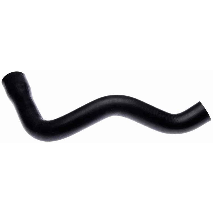 Molded Radiator Hose
