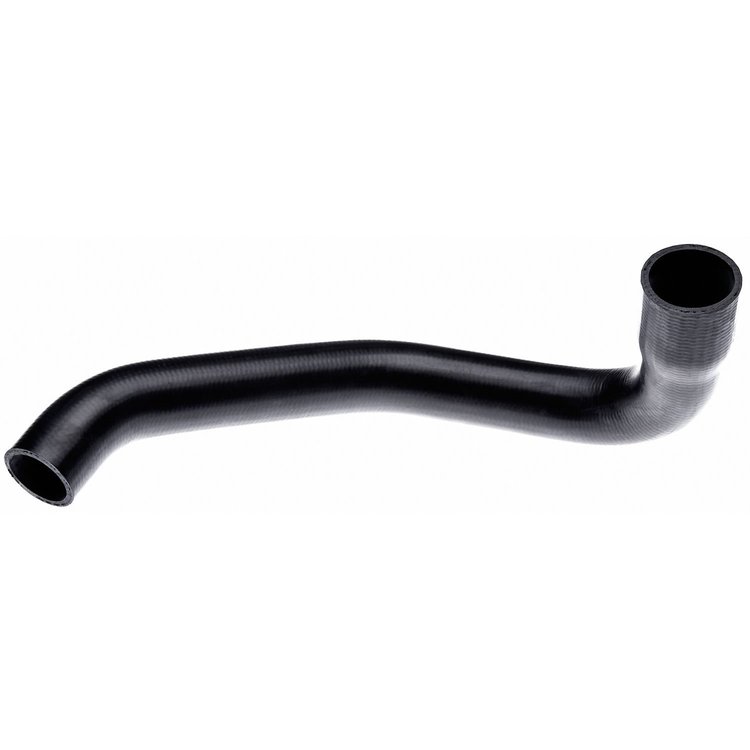 Molded Radiator Hose