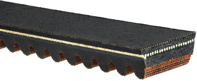 Recreational Belts - G-Force