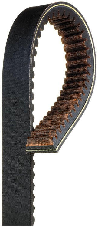 RECREATIONAL BELTS - G-FO