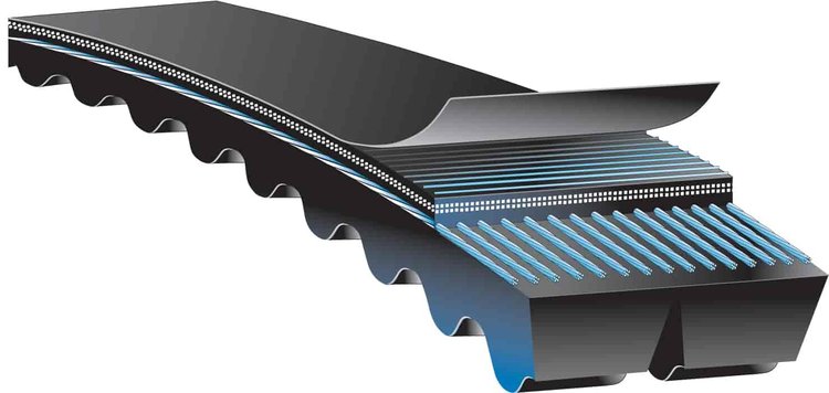 Transit Bus Belts