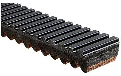 Recreational Belts - G-Force C12